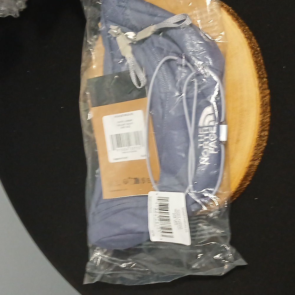 The North Face Jester Lumbar Pack NWT - Picture 2 of 4